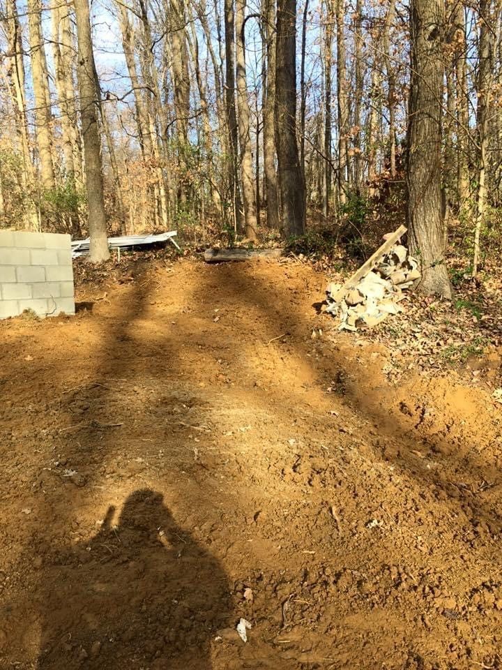 Trail In Woods