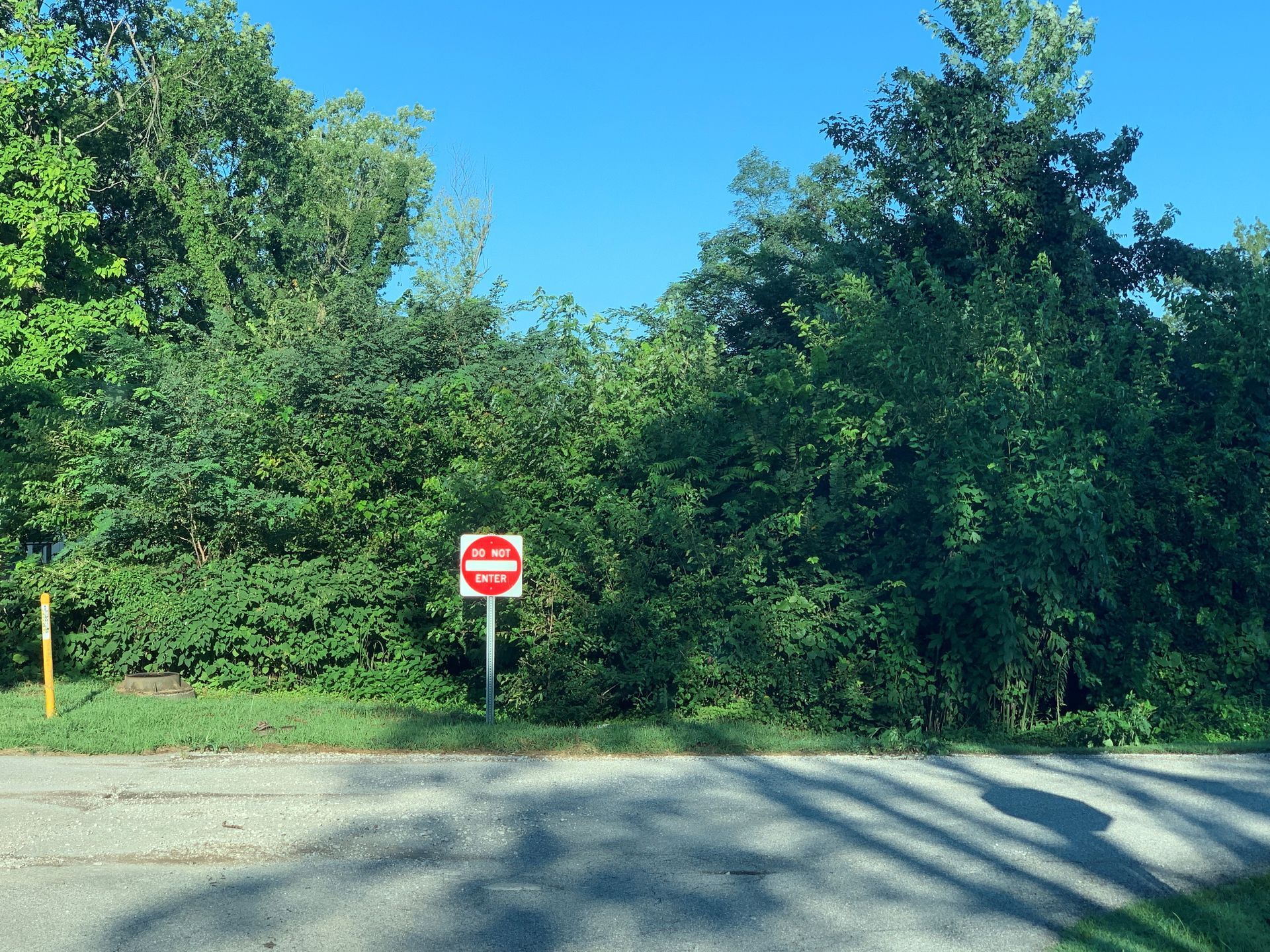 Paved Road 