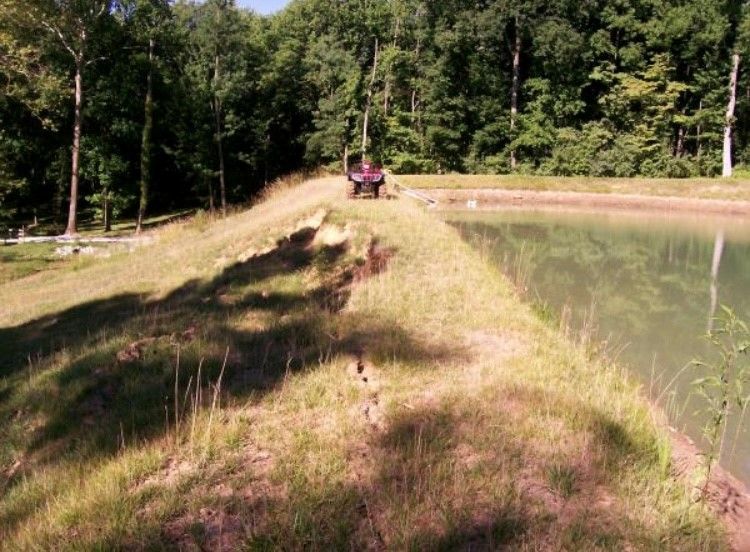 Maintained Pond