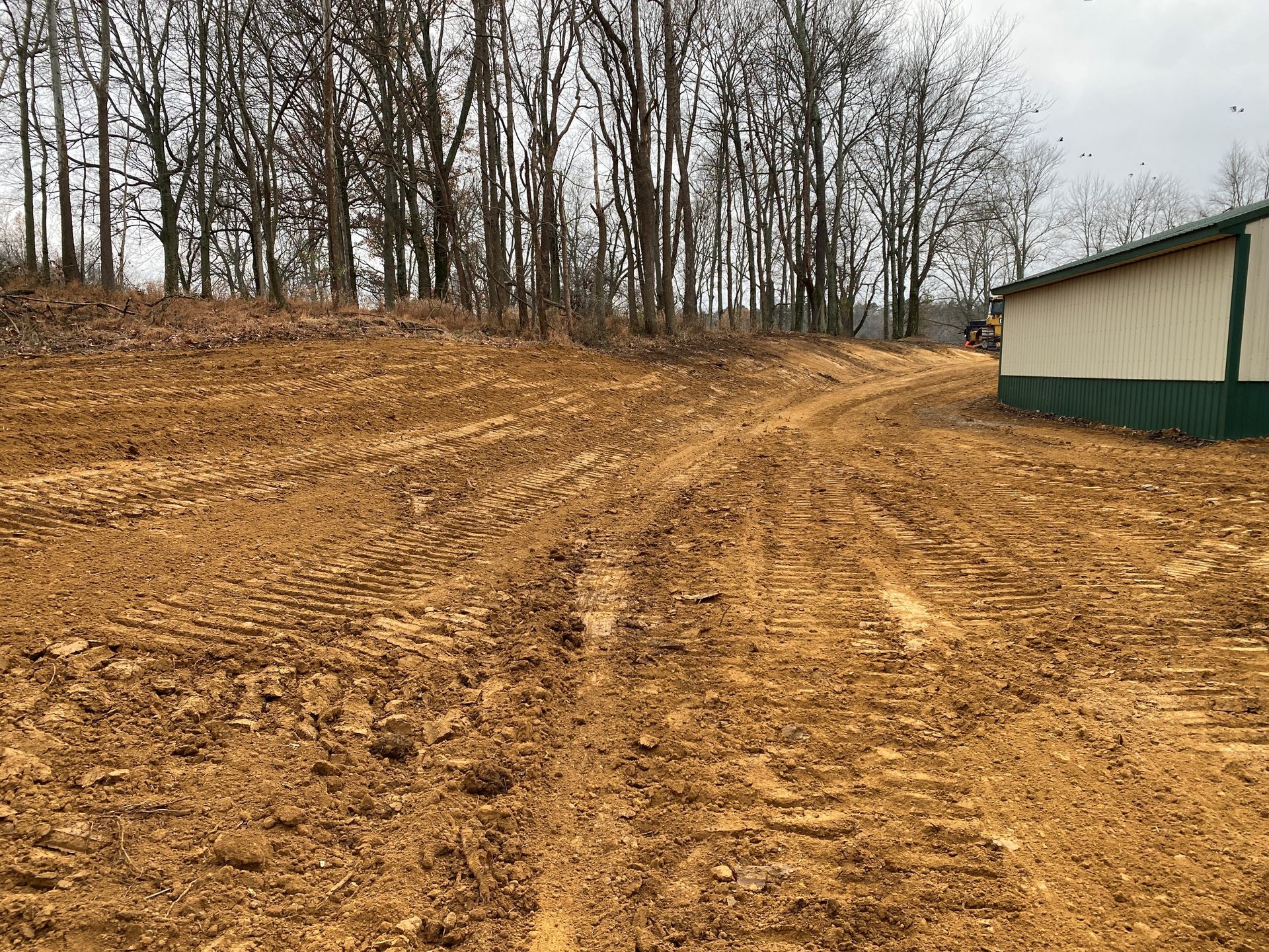 Cleared Dirt Area