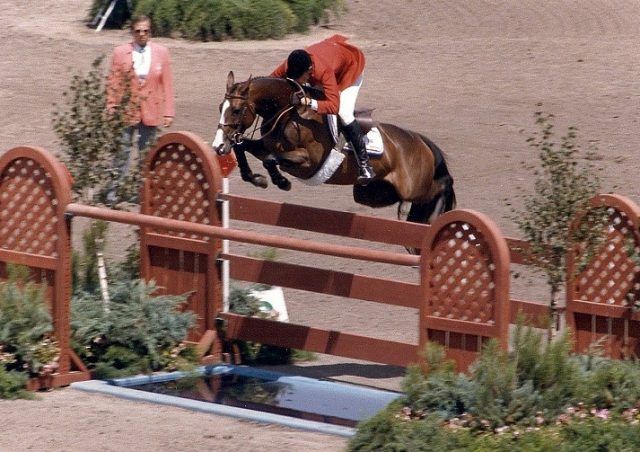 Thoroughbred Jumping