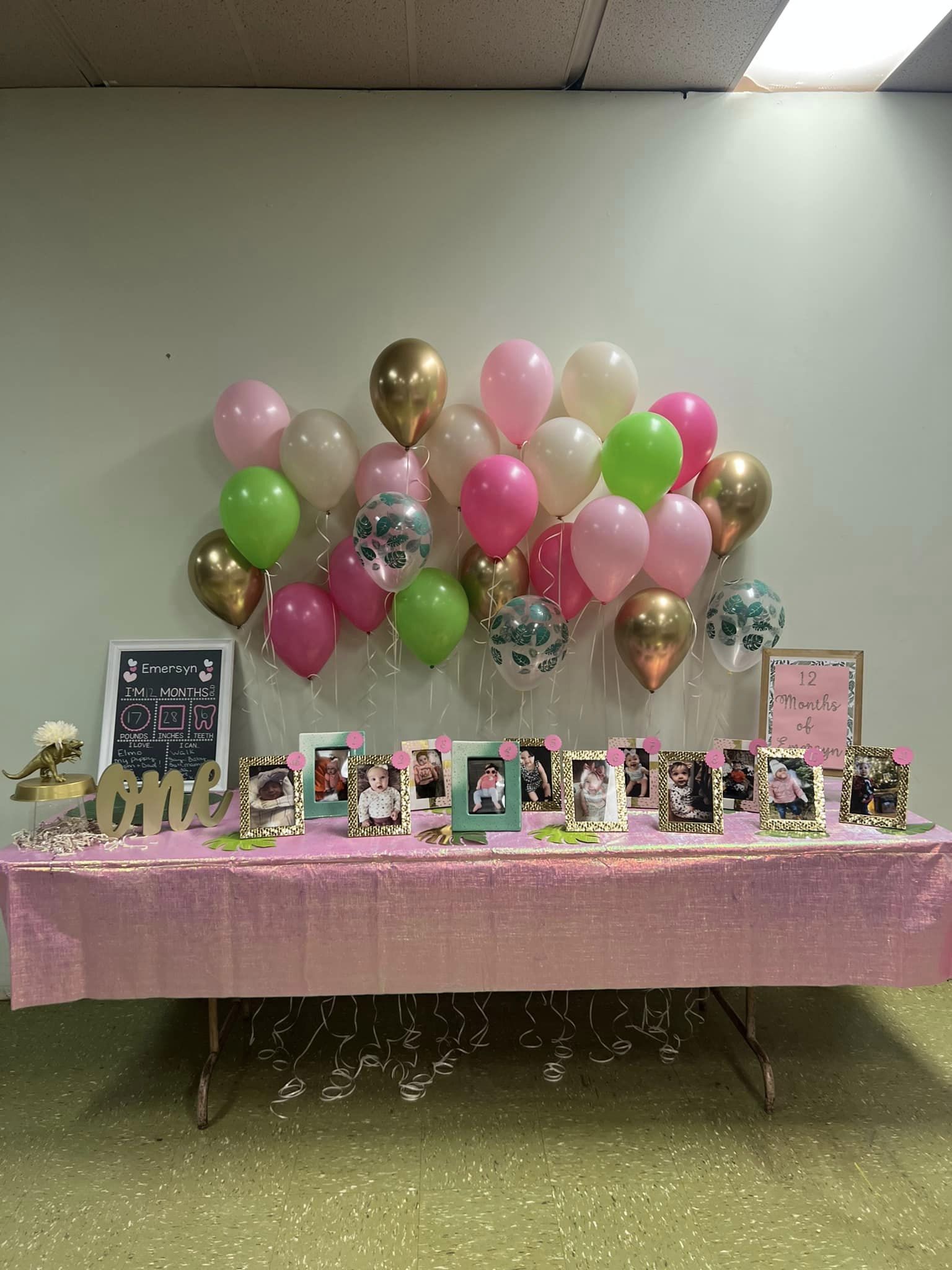 dinosaur party for girls  balloon backdrop