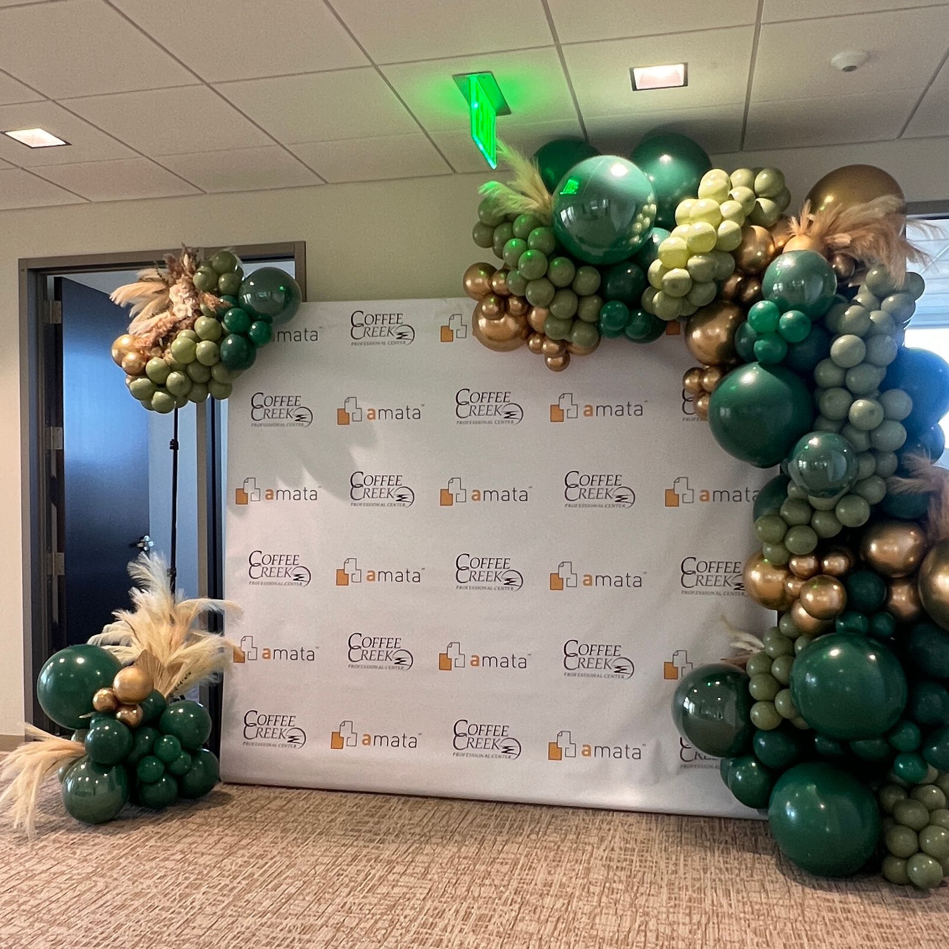 Deluxe balloon garland in front of a step and repeat for a company's open house