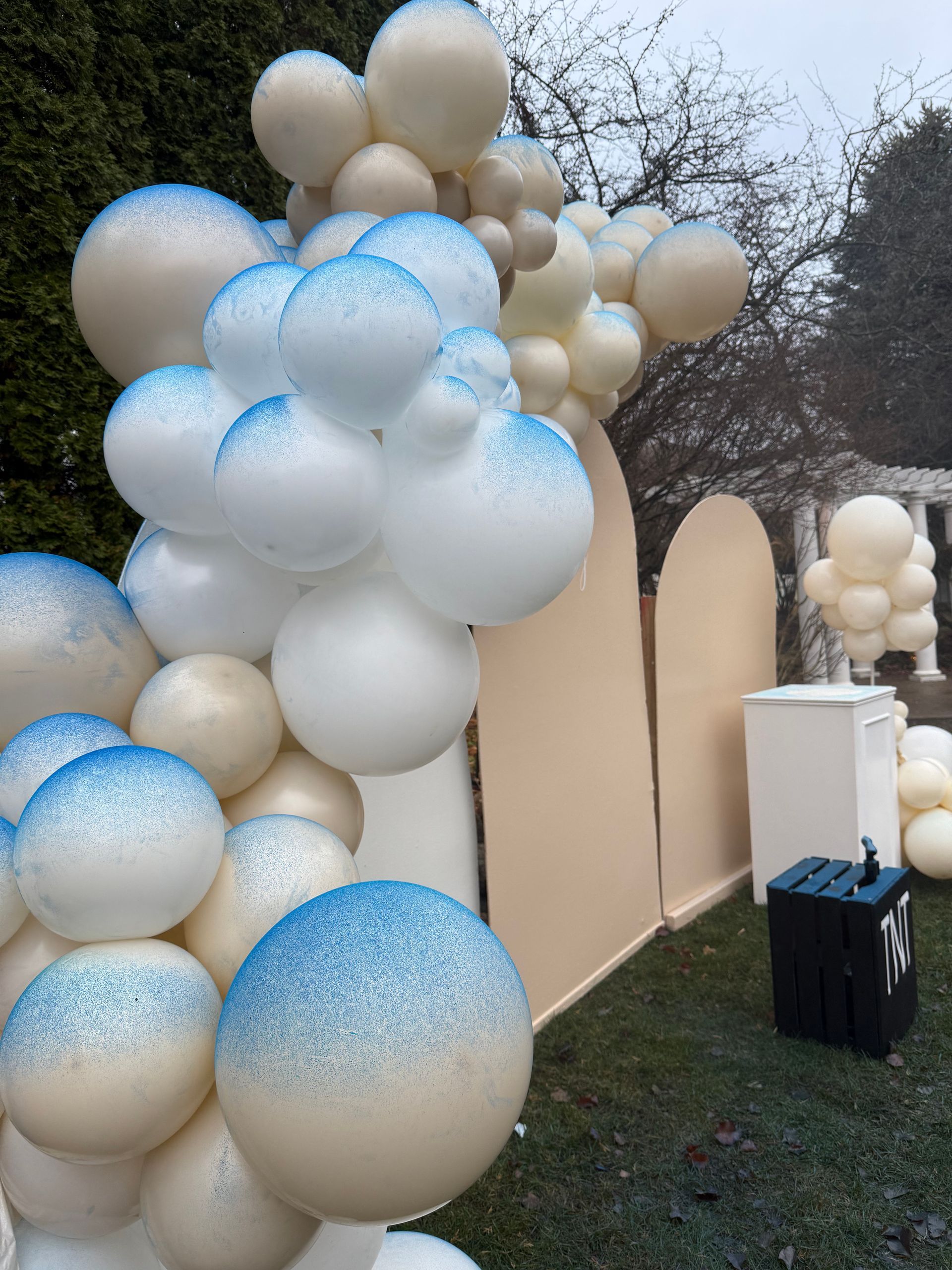 Gender reveal with a surprise 'It's a Boy!' moment featuring blue exploding powder against neutral walls, hosted in the south suburbs of Chicago with a TNT theme.