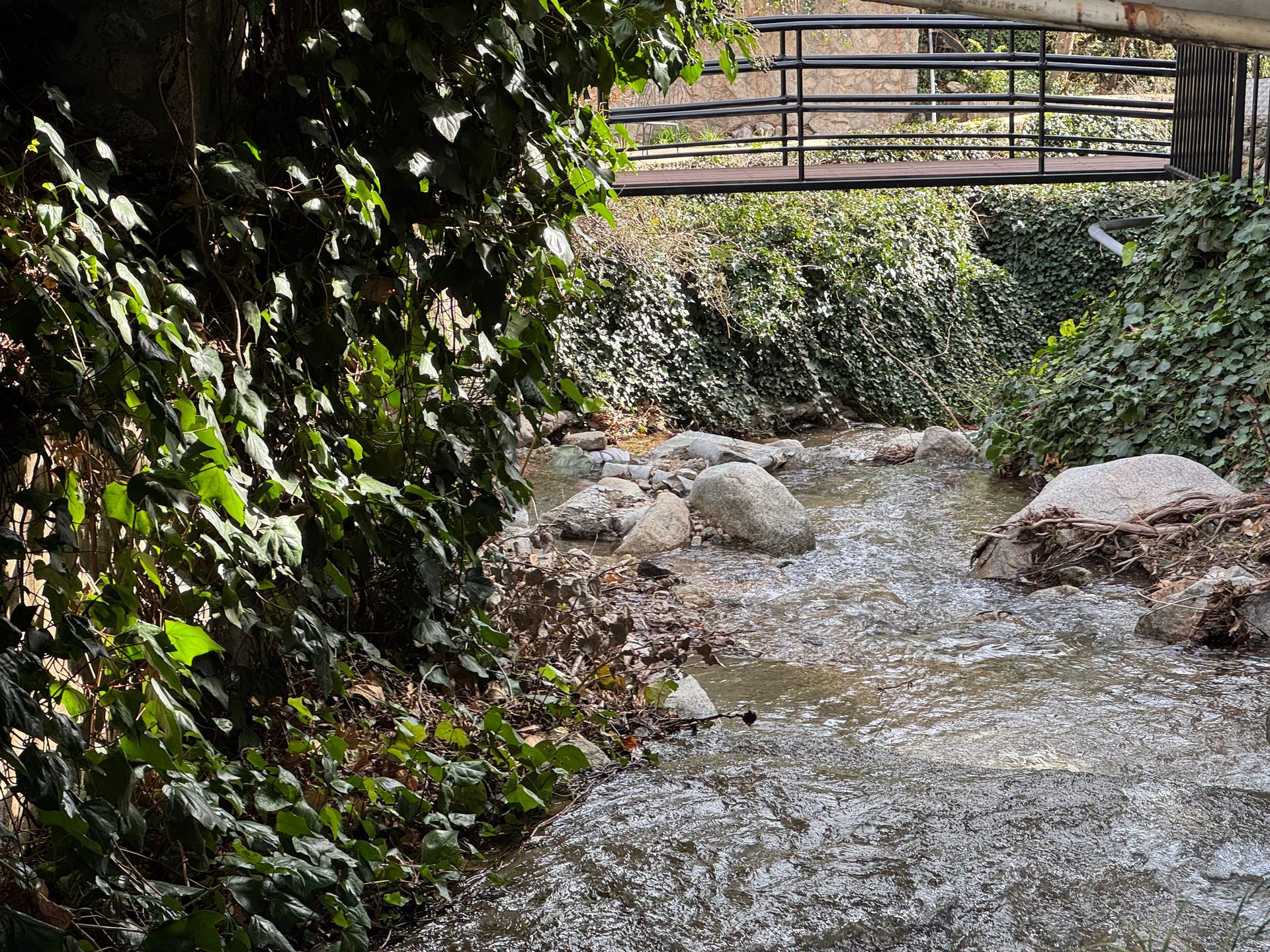 A shallow, sunlit stream flows over rocks under a dark metal pedestrian bridge, framed by dense ivy on the left bank.