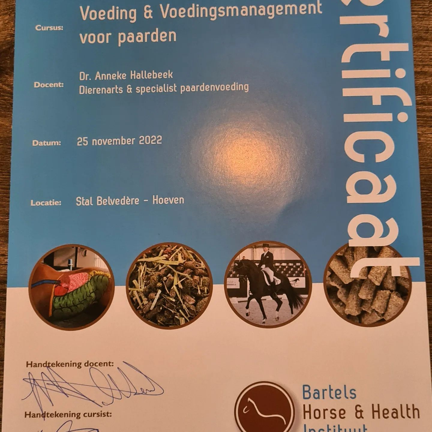 Dutch poster for "Voeding & Voedingsmanagement voor paarden" with horse photos and Bartels Horse & Health logo