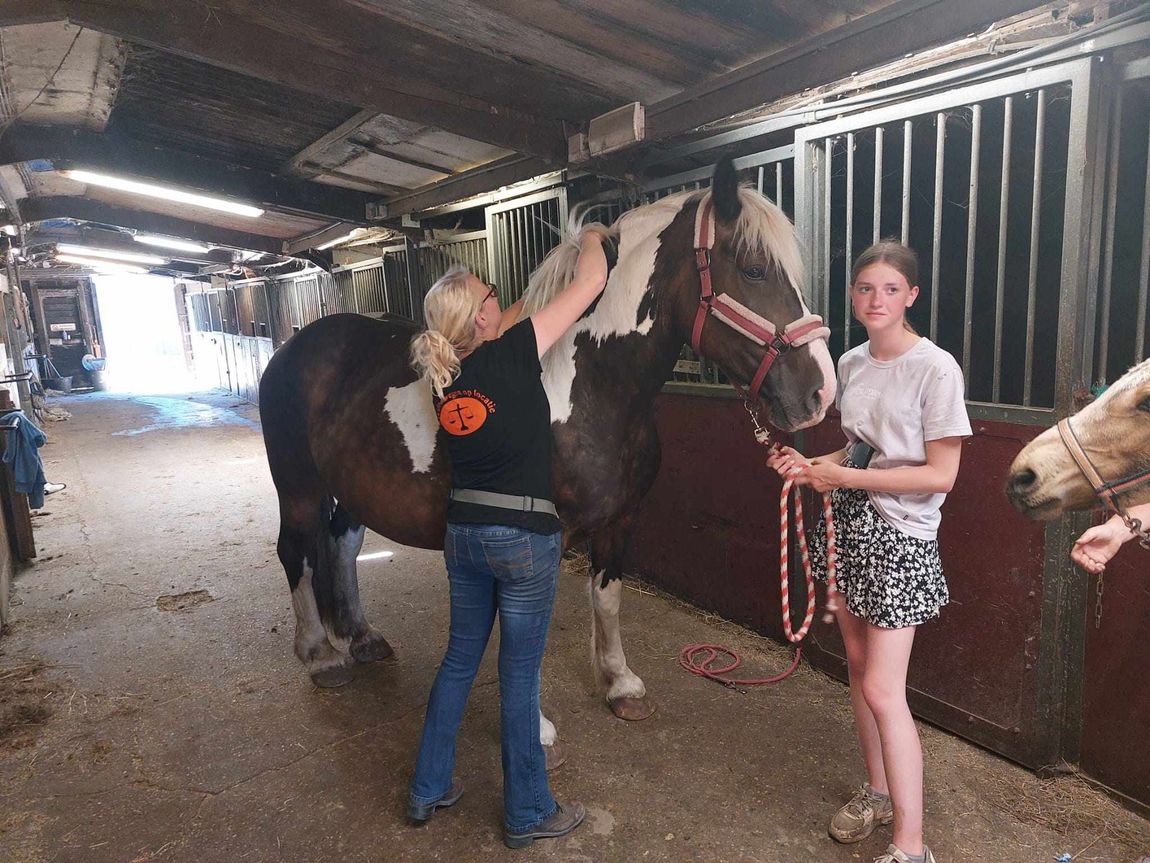 Twee mensen verzorgen een wit paard in een stalgang, met een ander paard er vlakbij.