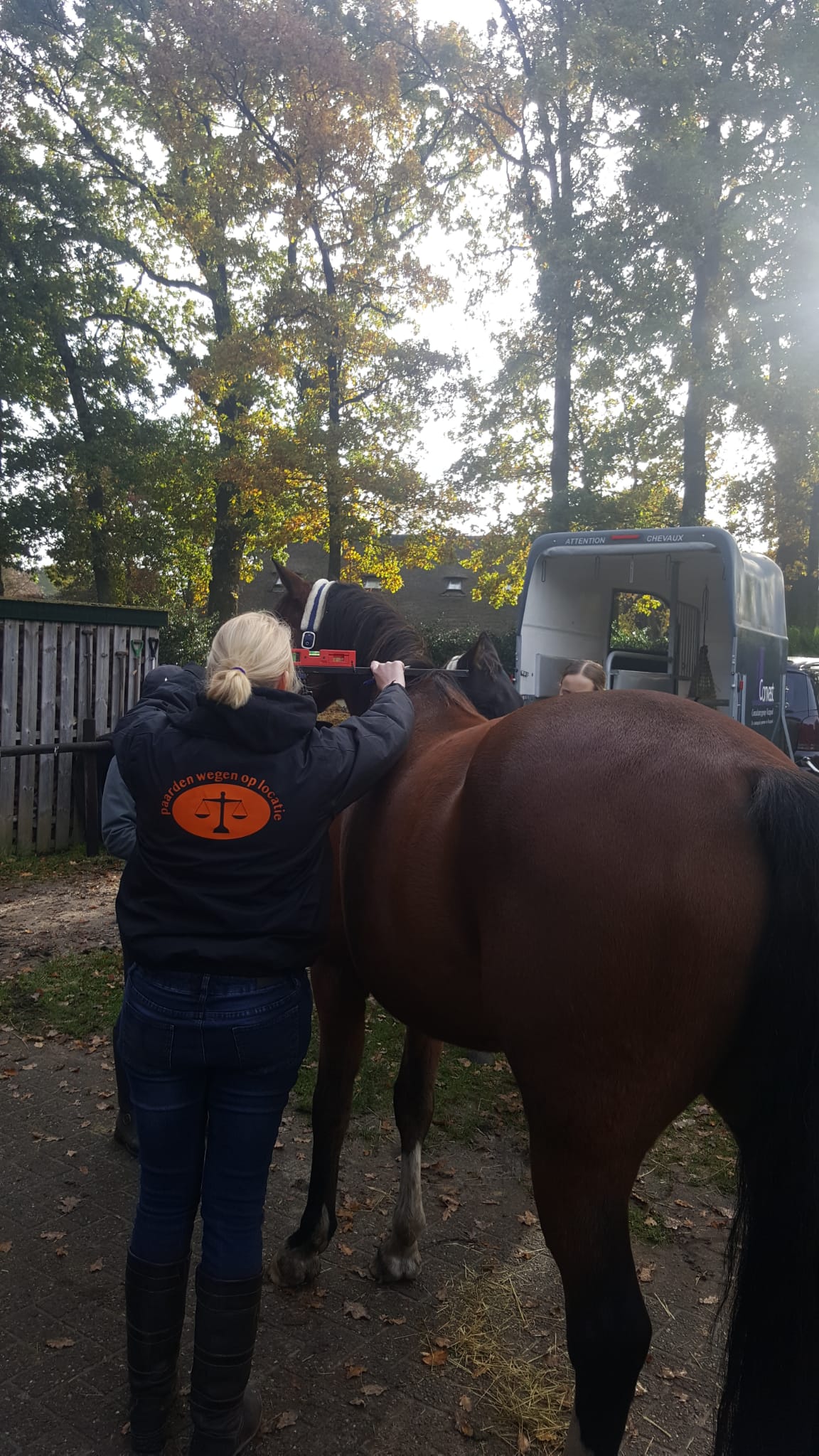 Een persoon die een bruin paard leidt in de buurt van een grijze vrachtwagen in een bosrijk buitengebied.