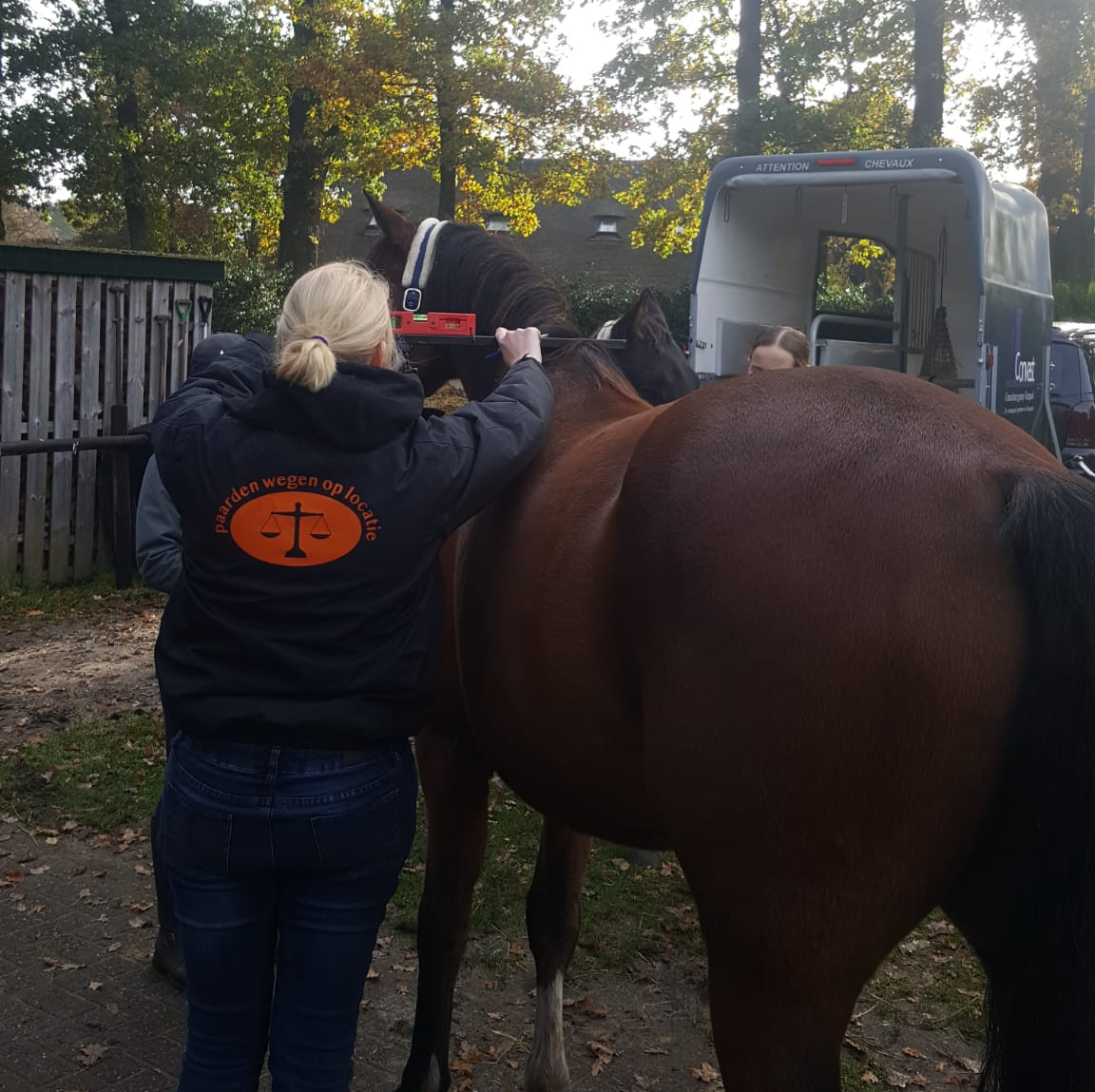 Een persoon in een zwarte jas leidt een bruin paard naar een paardentrailer op een bosrijk erf.