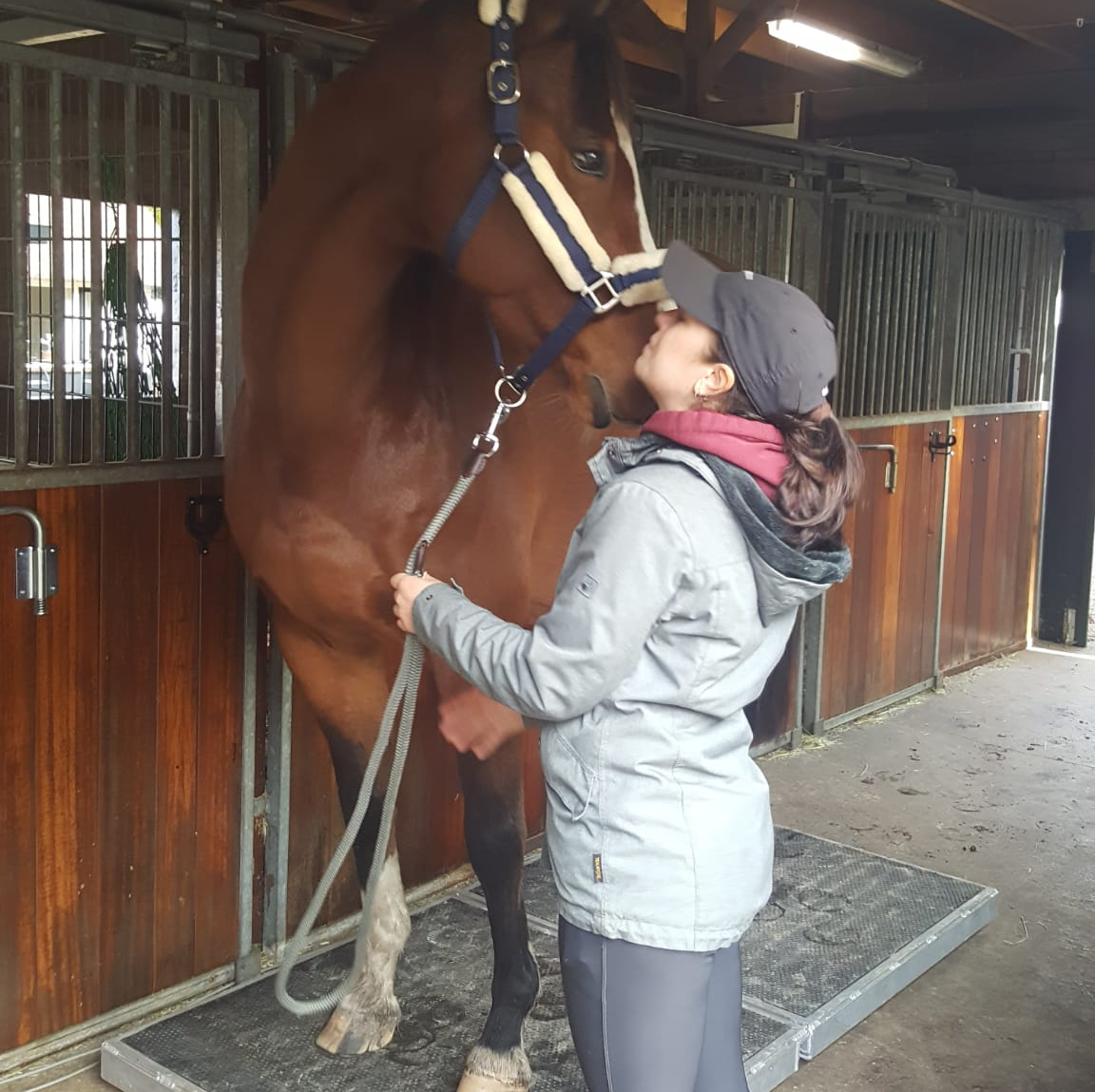 Een vrouw in een grijze jas houdt voorzichtig een bruin paard vast in een stal.