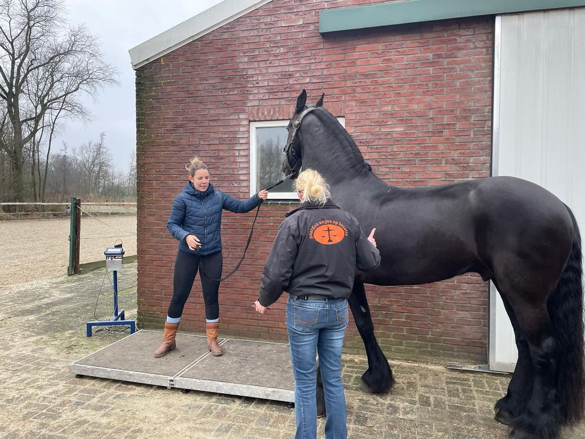 Twee mensen staan ​​naast een zwart paard buiten een stenen stal; een van hen houdt het halstertouw van het paard vast.