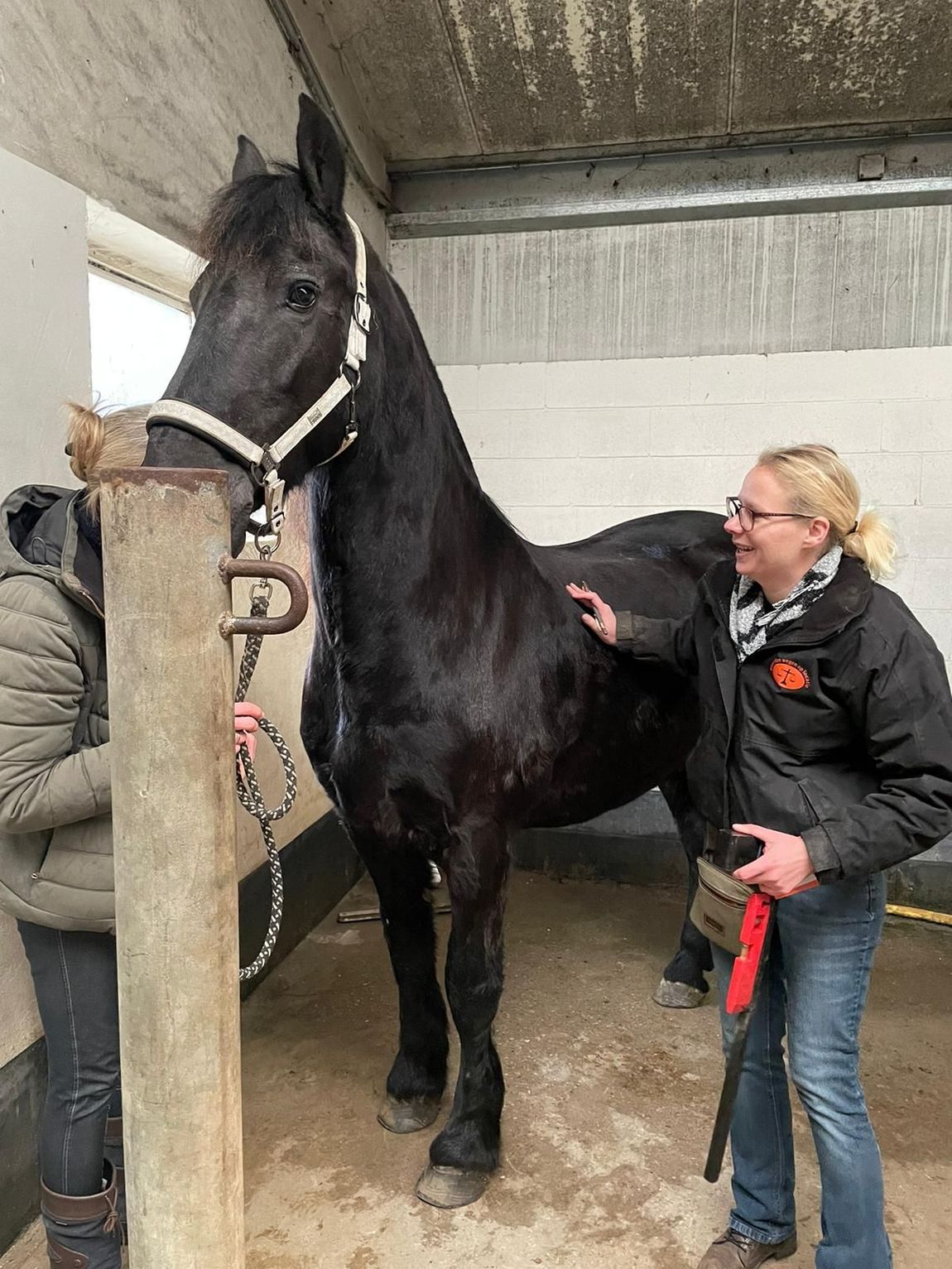 Een zwart paard met een witte bles staat in een stal, terwijl een vrouw in een jas hem over de nek aait.