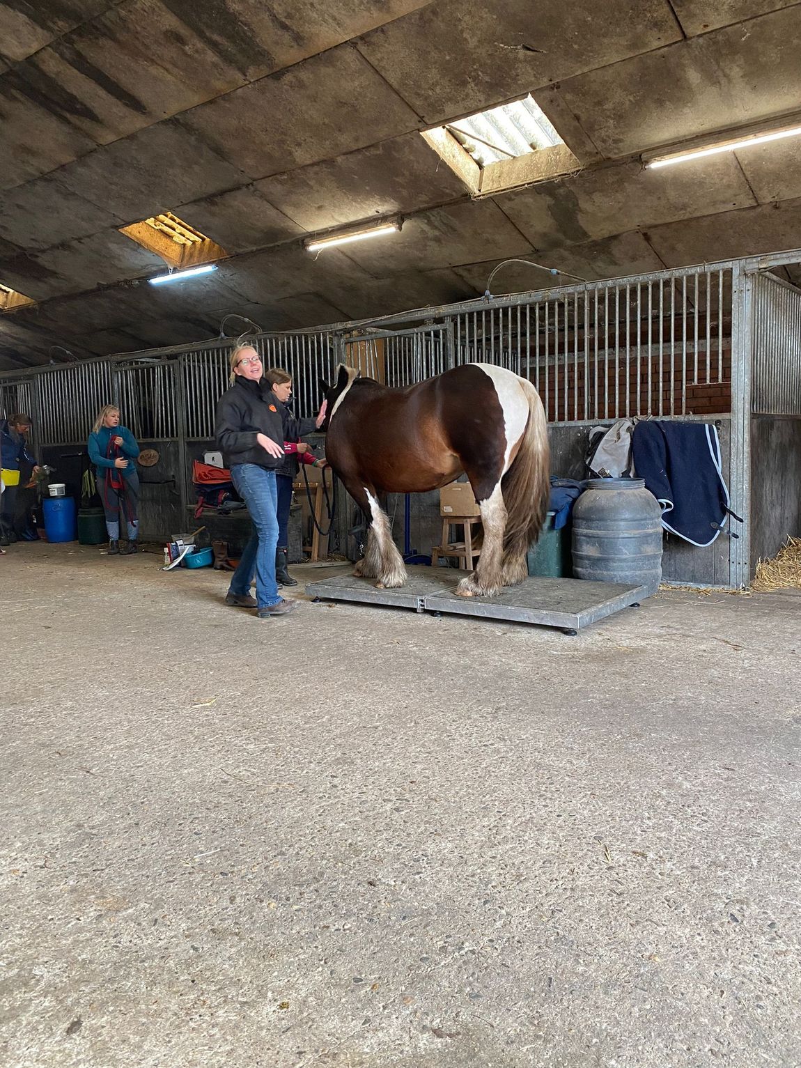Een persoon verzorgt een bruin-wit paard in een stalgang met hooibalen en boxen.