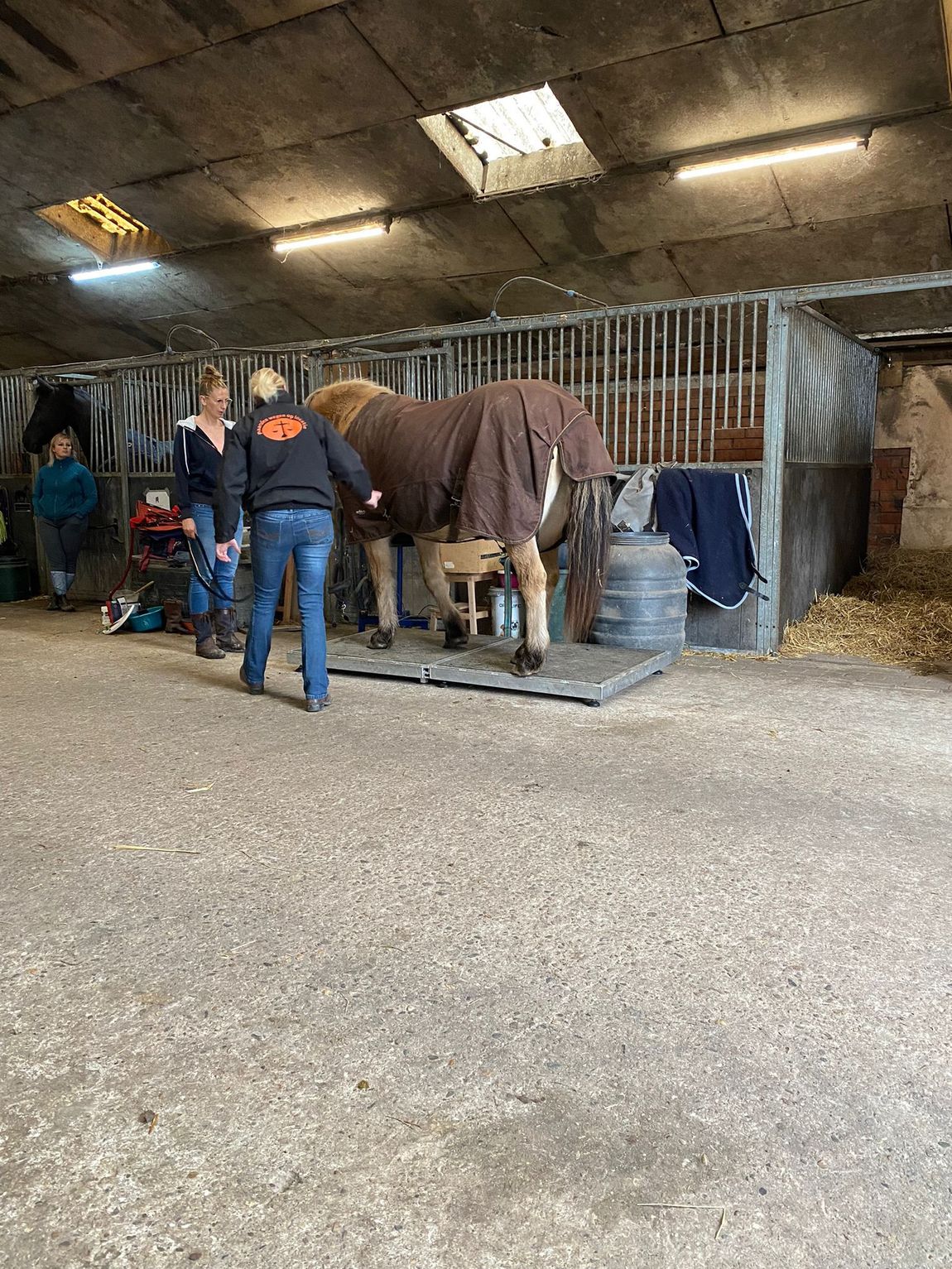 Paardenverzorging in een stal, met twee mensen die naast een bruin paard staan, vlakbij de boxen en de uitrusting.