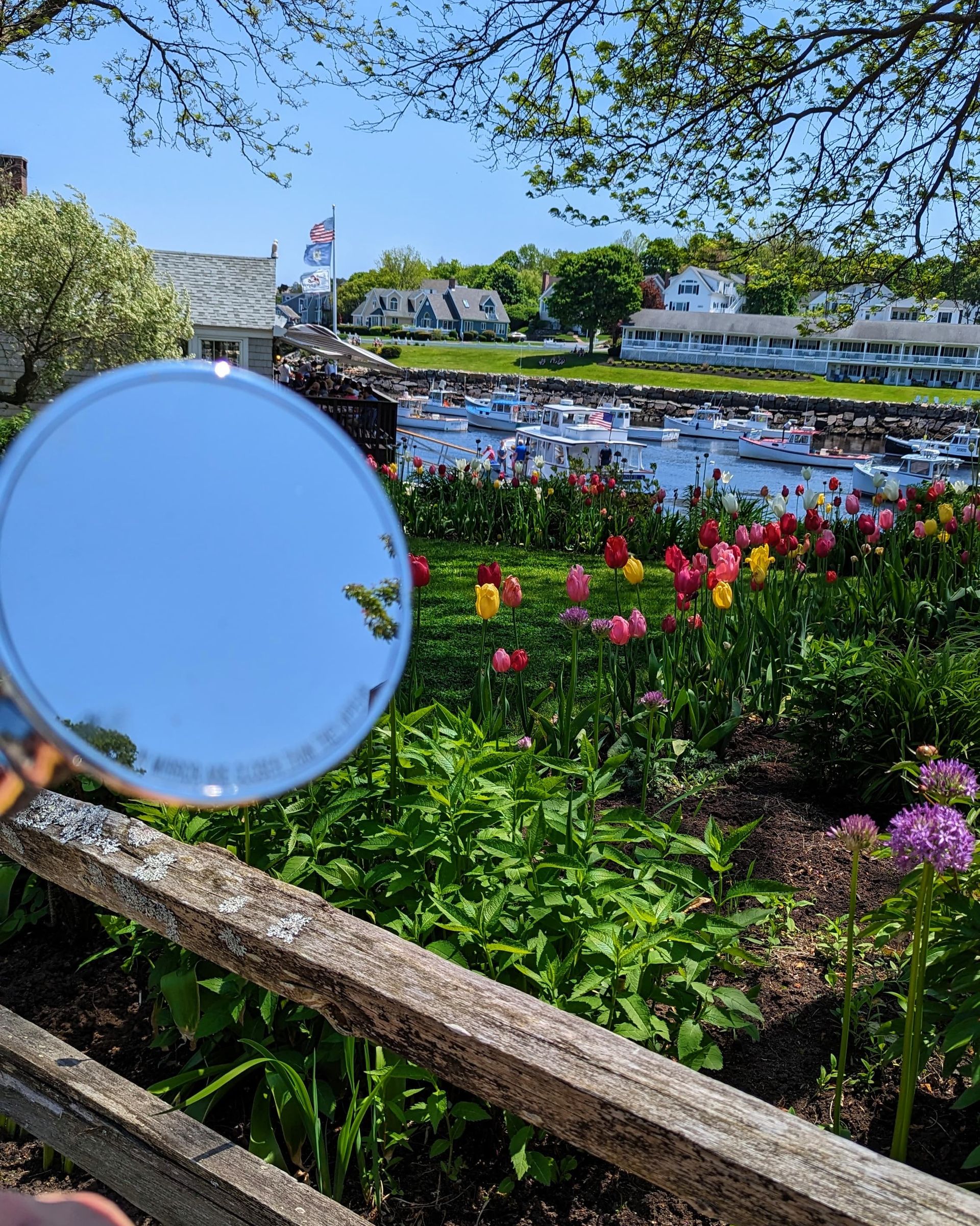 Affordable Scooter Rentals York, Maine Sea Point Scooter