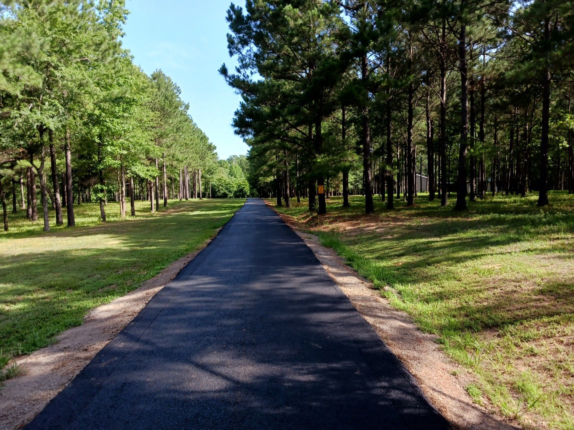 A road going through a forest with trees on both sides