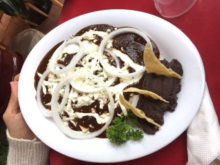 EL CHARCO DE LAS RANAS PEDREGAL - Mole