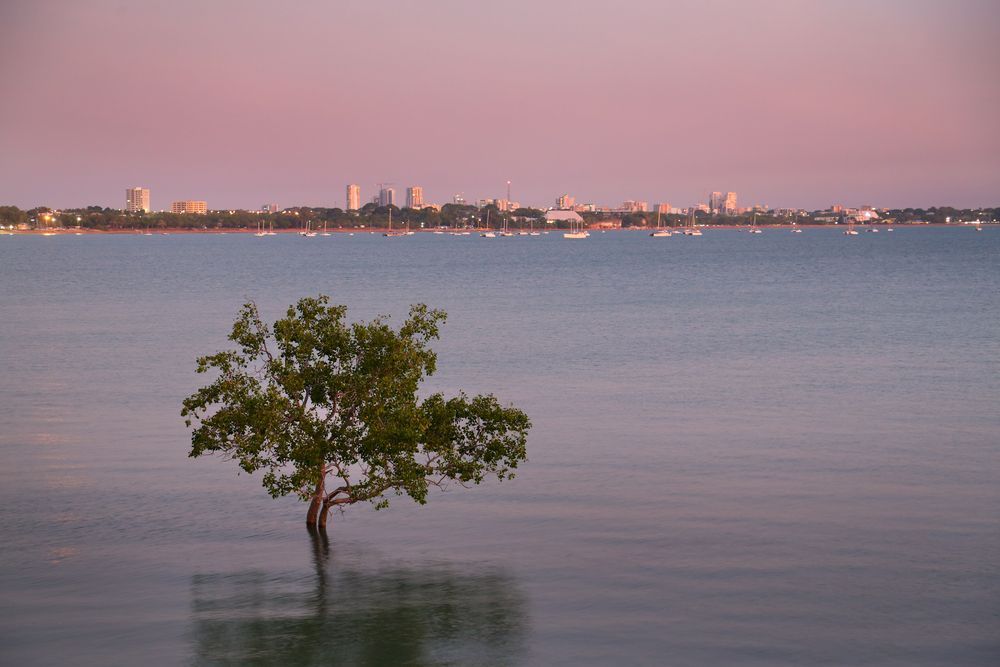 A Large Green Tank Is Sitting in The Middle of A Grassy Field — Wades Distributors In Darwin, NT