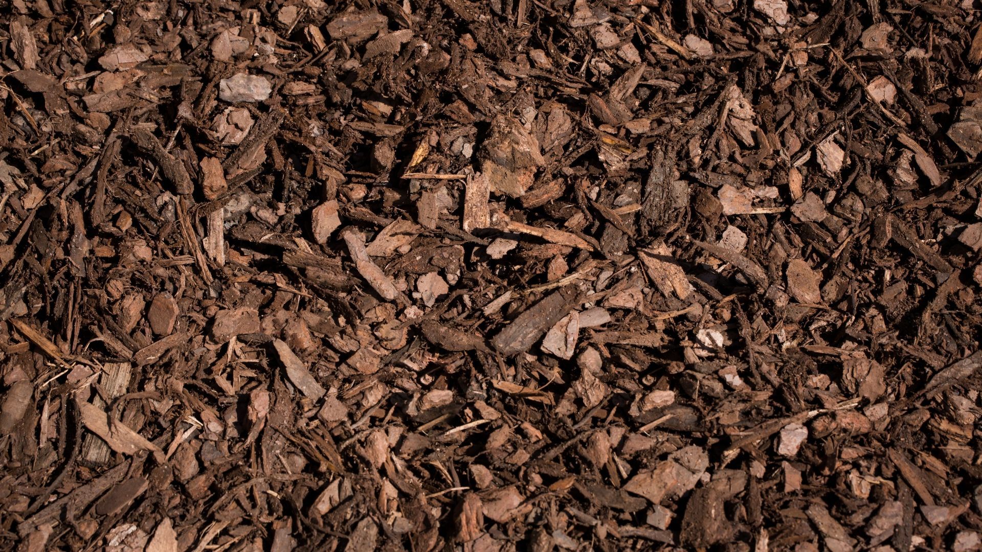 Close-up of brown wood mulch with rough bark chips and bark fragments