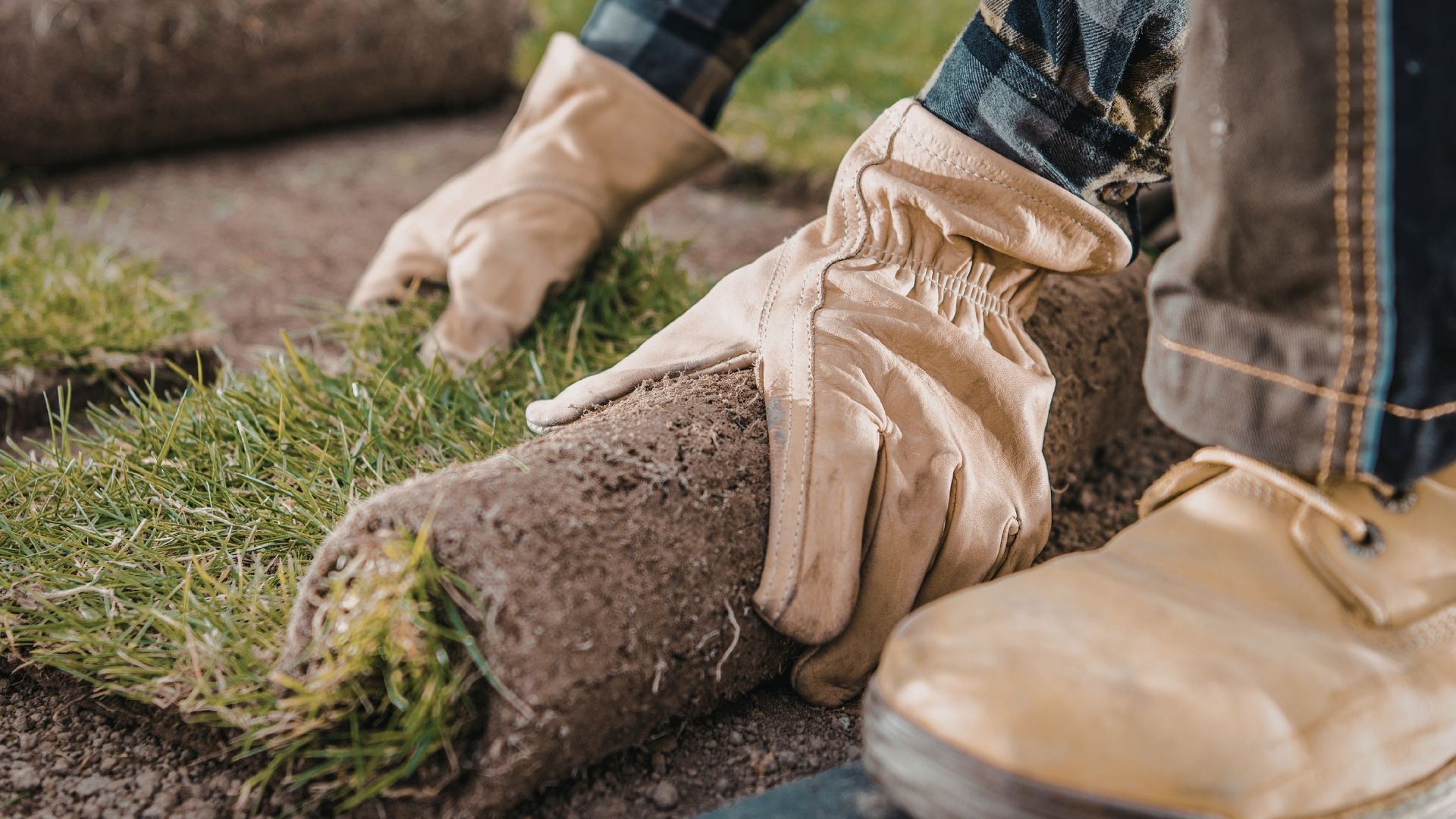 Gloved hands rolling up a strip of sod beside a boot on a grassy lawn