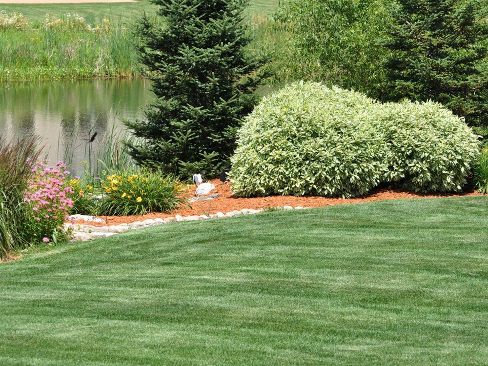 Landscaped garden with green lawn, flowering border, shrubs, and a pond in the background