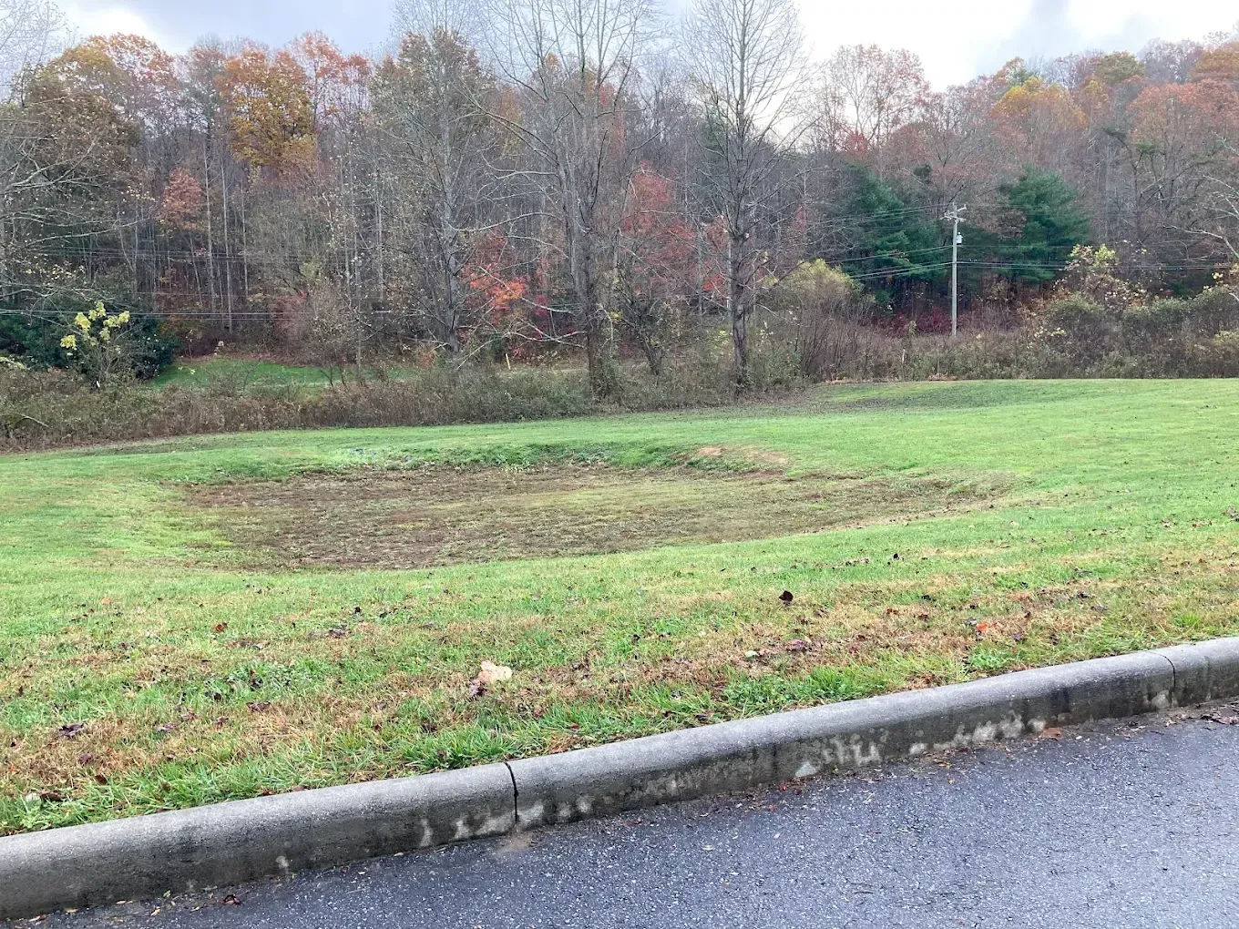 Grassy roadside lot with a large bare patch, bordered by autumn trees under an overcast sky.