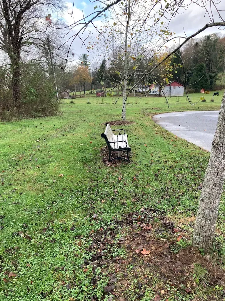 Bench beside a curving path in a grassy park with trees and fallen leaves