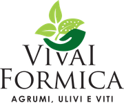 Formica Pietro Tindaro logo