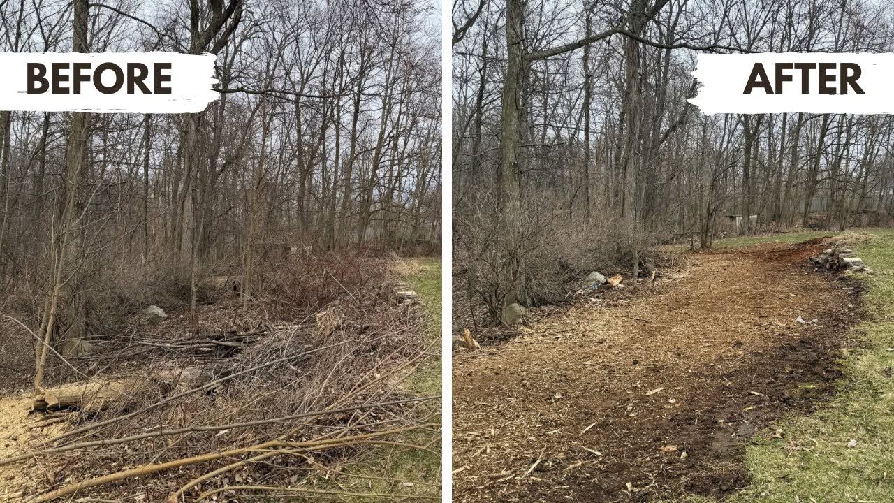 Before-and-after view of a wooded area cleared into a dirt path with brush removed