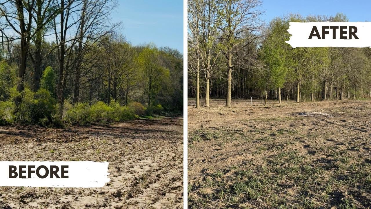 Before-and-after split view of a wooded area, showing cleared ground replaced by grass and trees.