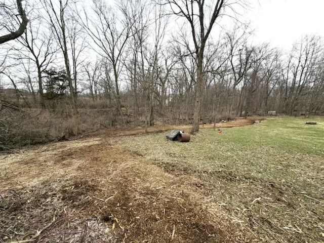 Grassy clearing beside leafless trees, with a large log lying near the center.
