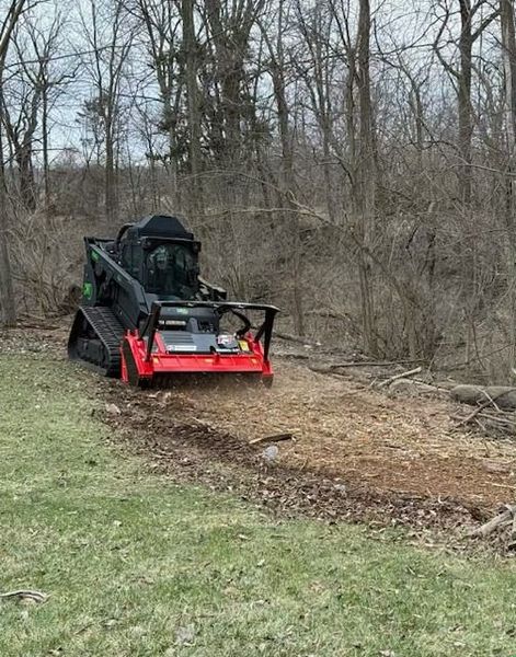 Compact track loader clearing brush along a wooded edge beside a grassy field.