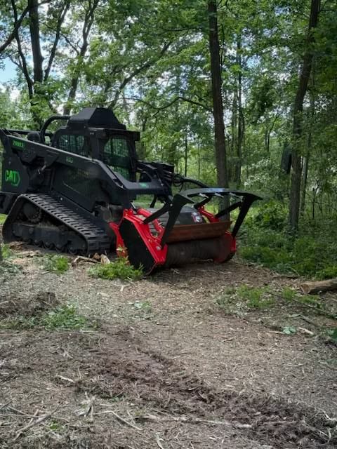 Black tracked loader with red attachment on a forest trail clearing debris