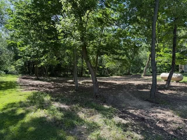 Wooded park clearing with green trees, dirt path, and a large fallen log in sunlight