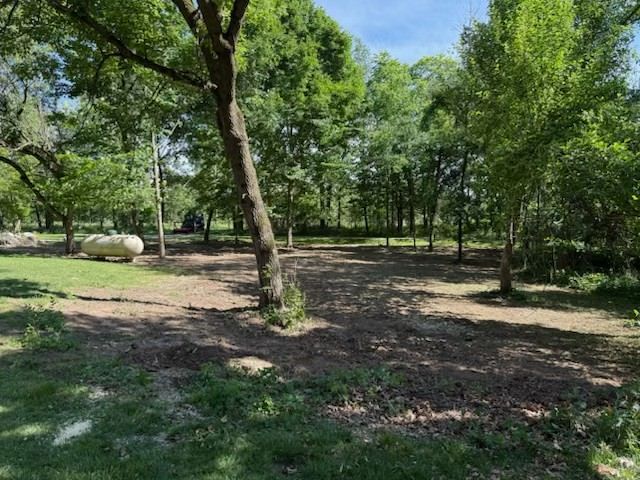 Wooded park with scattered trees, grassy ground, and a dirt clearing under bright daylight