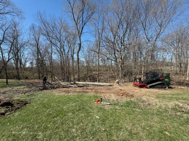 Brush-clearing machine in a leafless wooded field under a blue sky