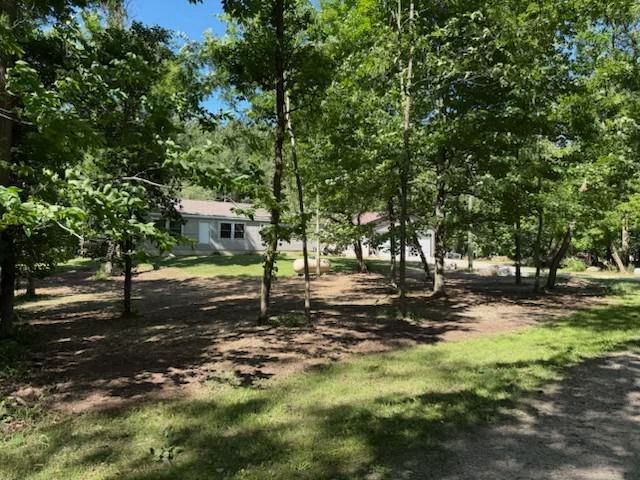Tree-filled yard with a small house in the background on a sunny day