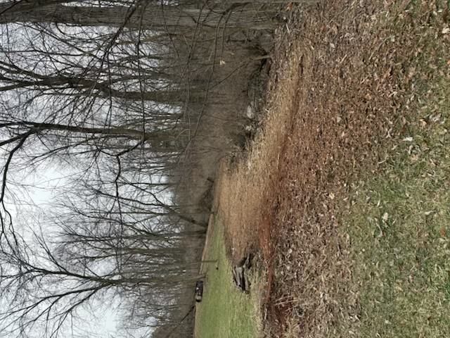 Leaf-covered dirt path through a bare winter forest, with a small bench in the distance.