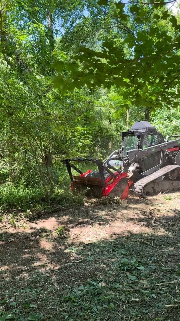 Red tractor with front loader parked in a wooded area under dense green trees.