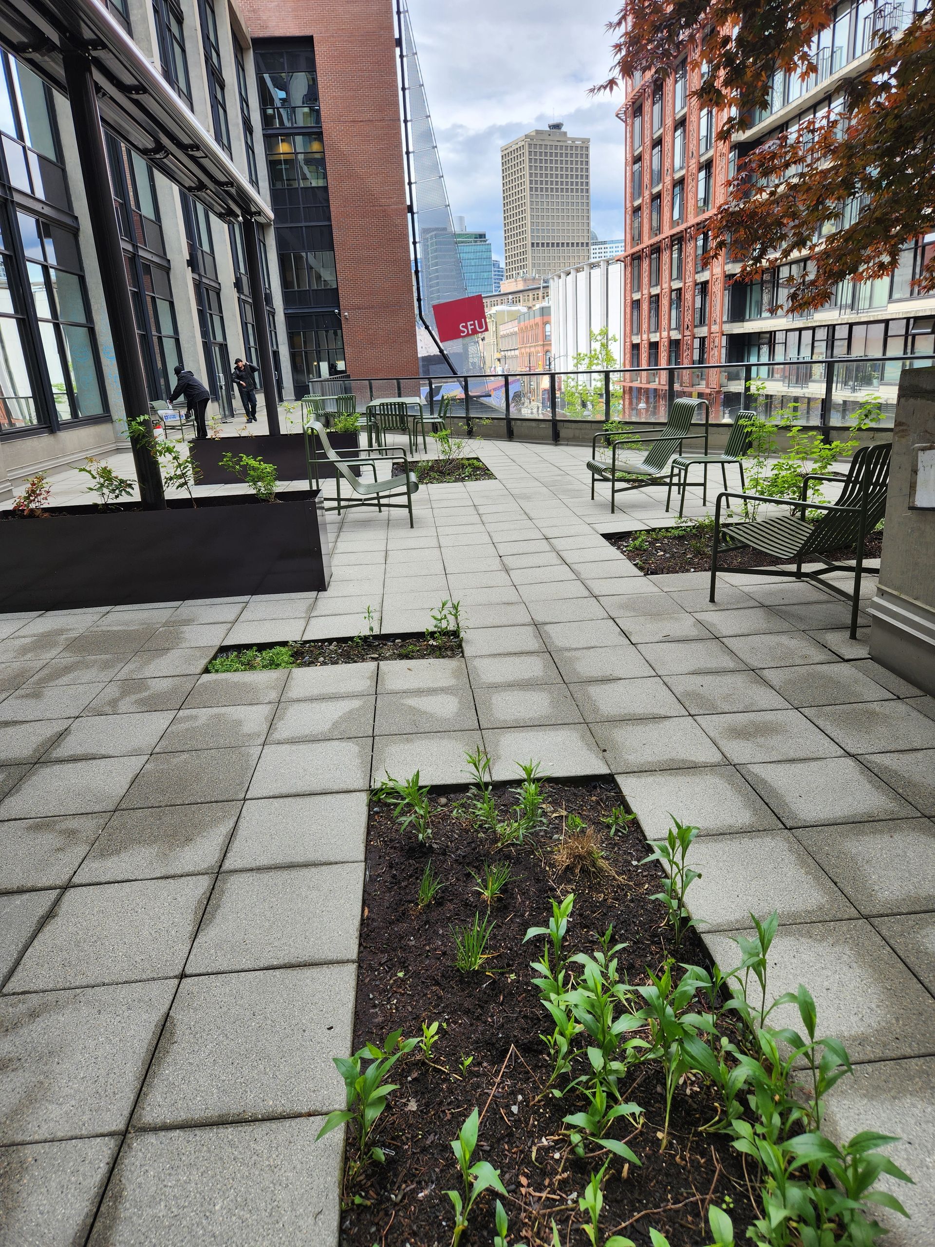 A patio with a lot of plants and a building in the background