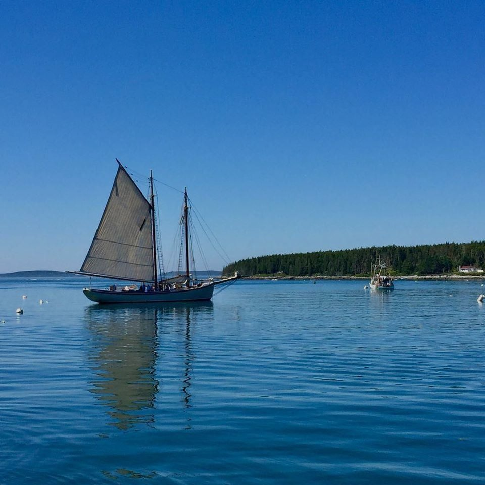 Sailboat with beige sails on calm blue water near a wooded shoreline under a clear sky