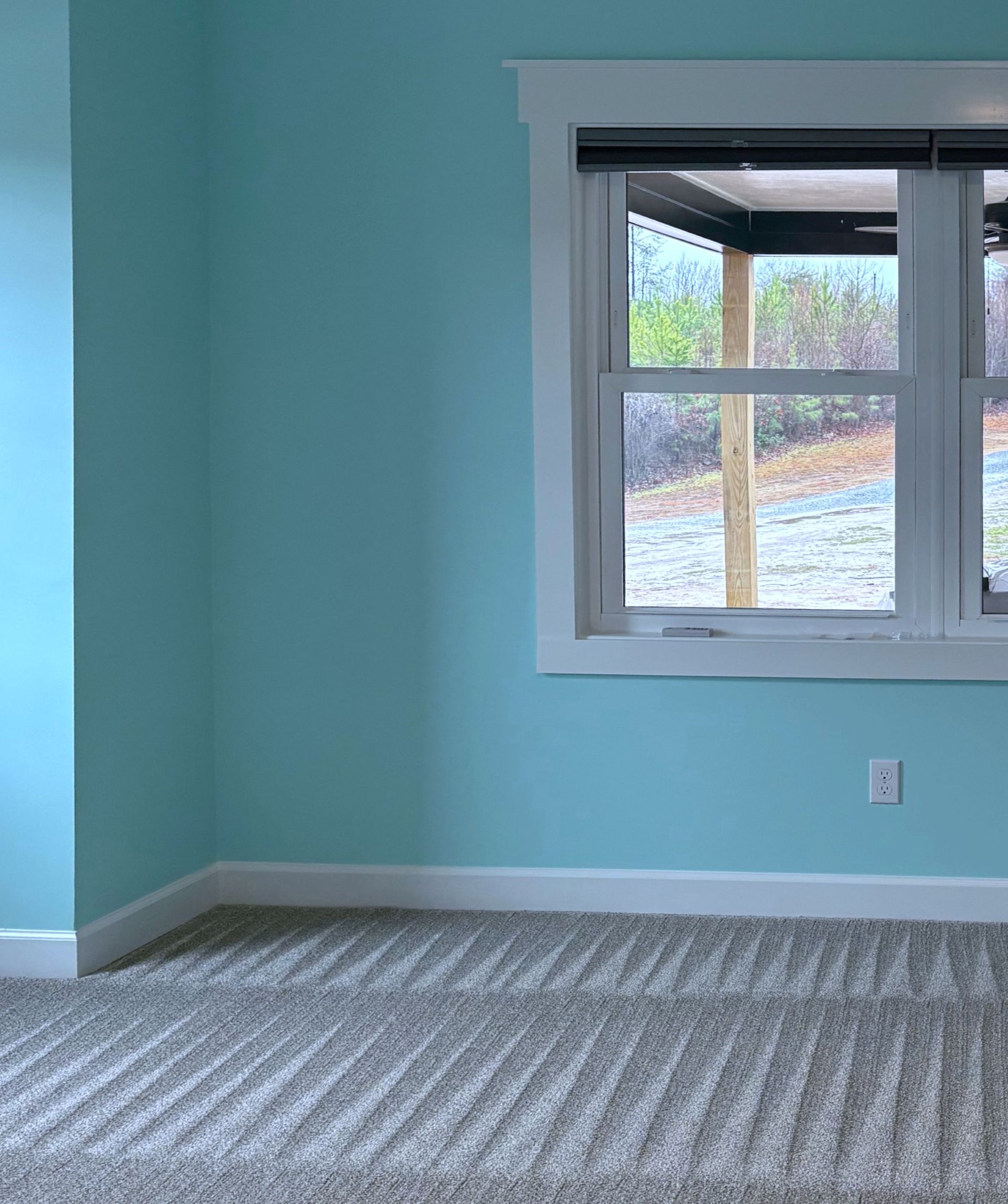 Blue-painted room with white trim, window, and gray carpet.