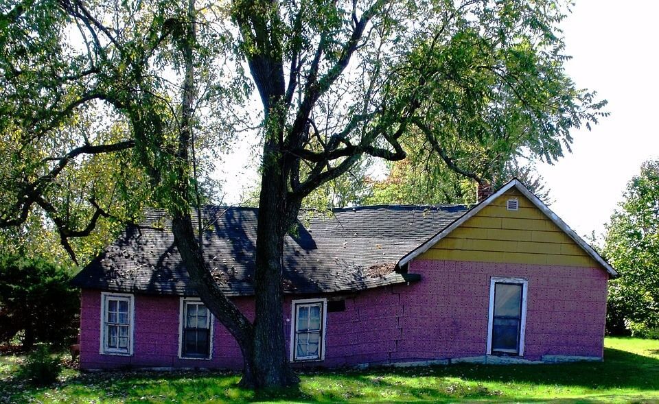 A pink house with a tree in front of it