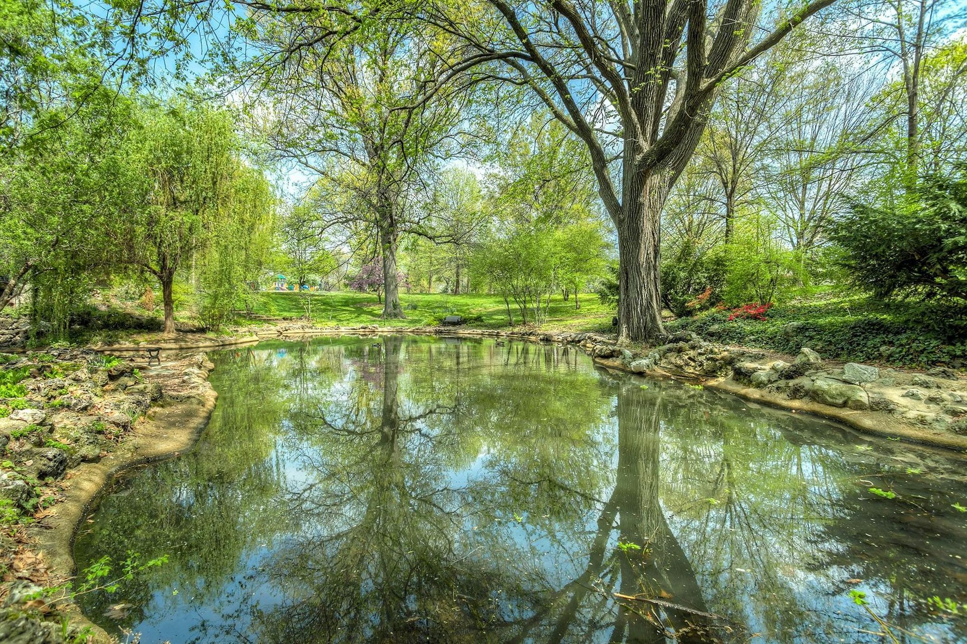 A pond in a park with trees reflected in the water.