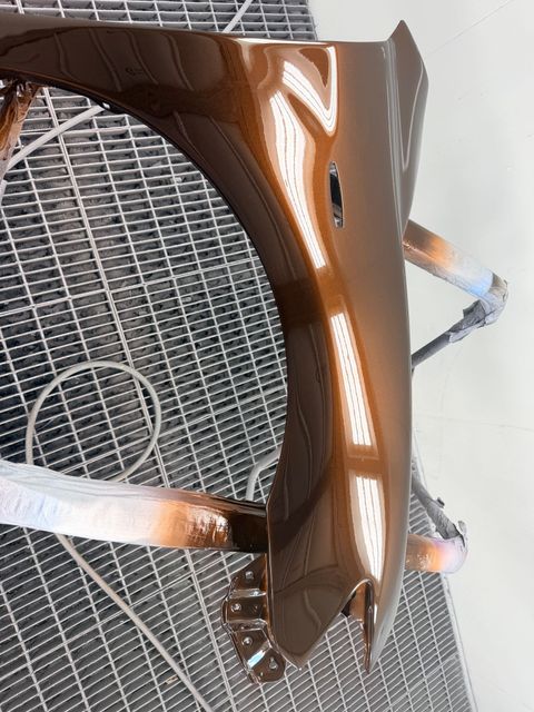 Close-up of a Brown Insect — SteelBar Restoration In Yarraman, QLD