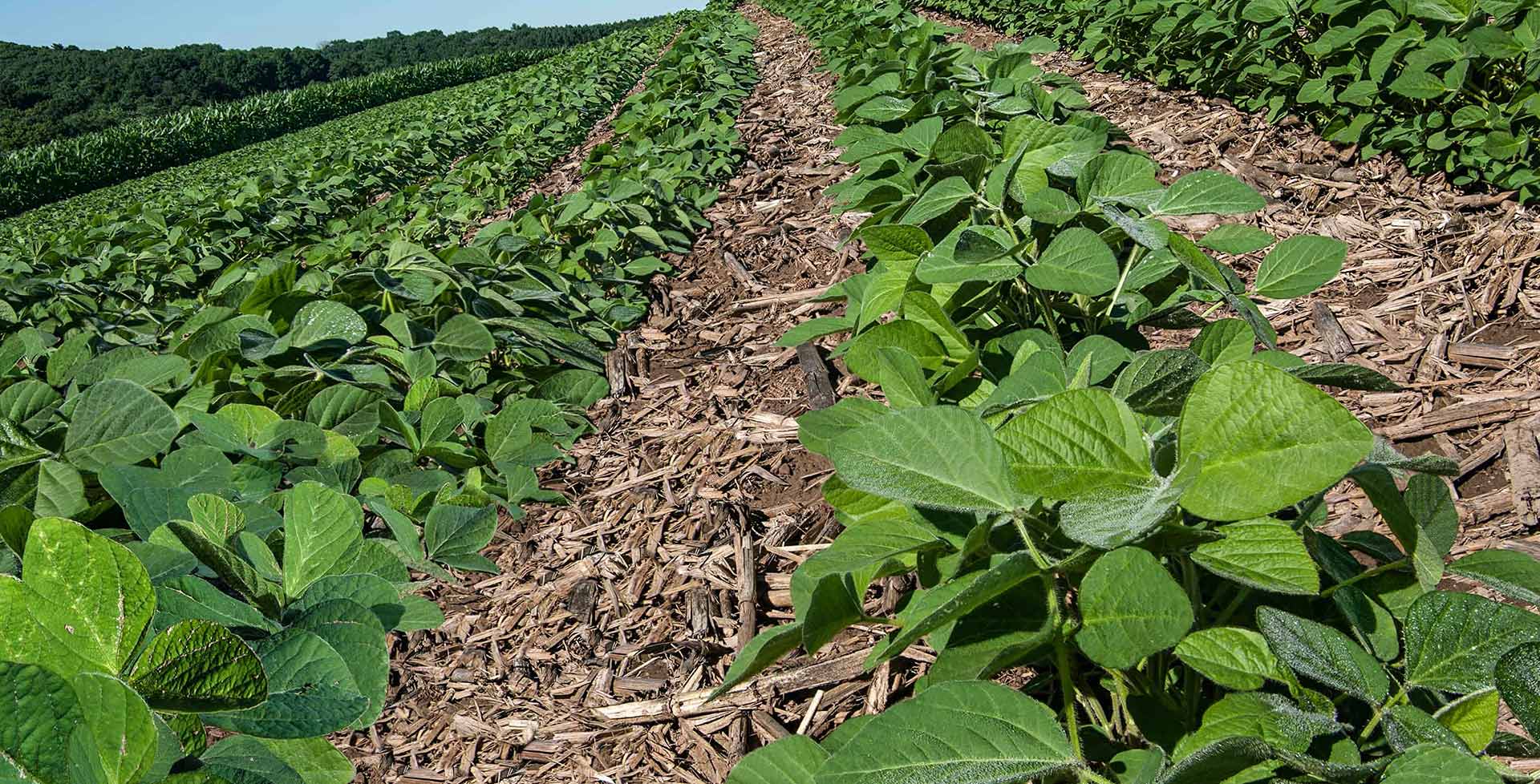 order mulch online - mulch for sale in state college 