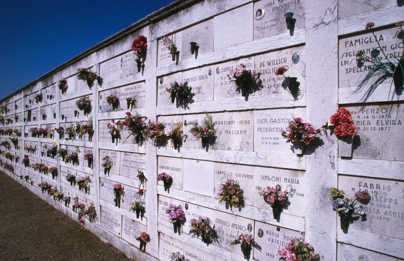Cimitero luminoso con cielo aperto e fiori bianchi in primo piano