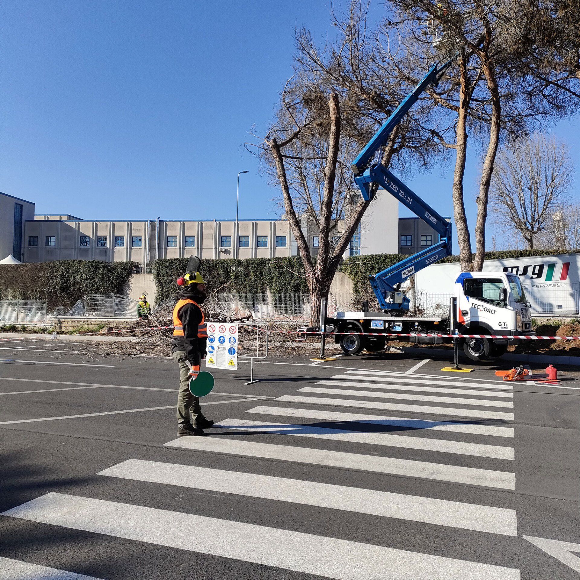 Operaio blocca il traffico per permettere il taglio di rami pericolanti