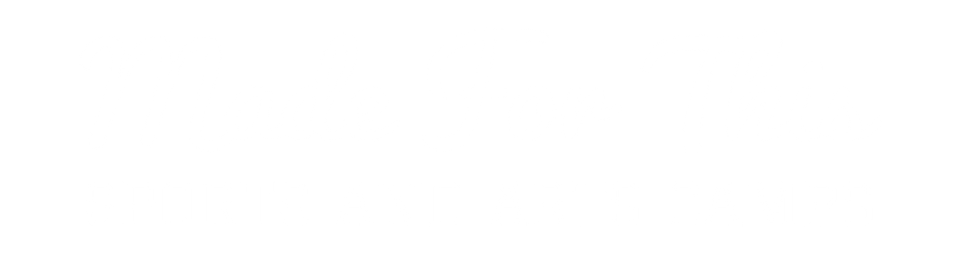 A white background with a few lines on it
