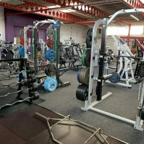 Empty gym interior featuring multiple power racks, weight plate trees, barbells, and floor mats on a grey rubber floor.
